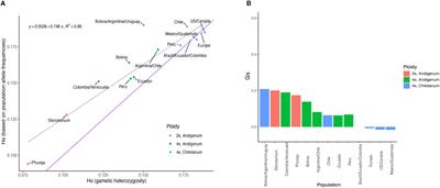 Potato soup: analysis of cultivated potato gene bank populations reveals high diversity and little structure